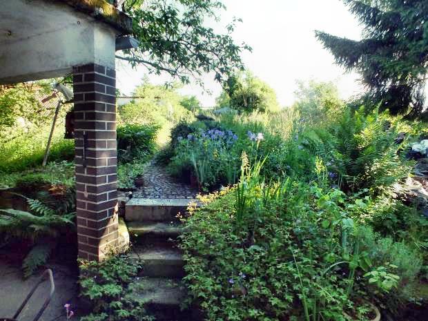 Blick in den Garten